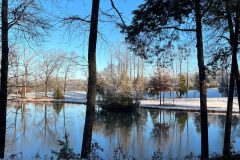 Dec 11 snow